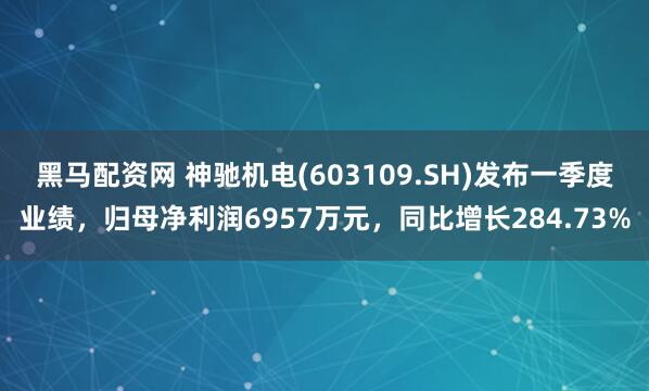 黑马配资网 神驰机电(603109.SH)发布一季度业绩，归母净利润6957万元，同比增长284.73%